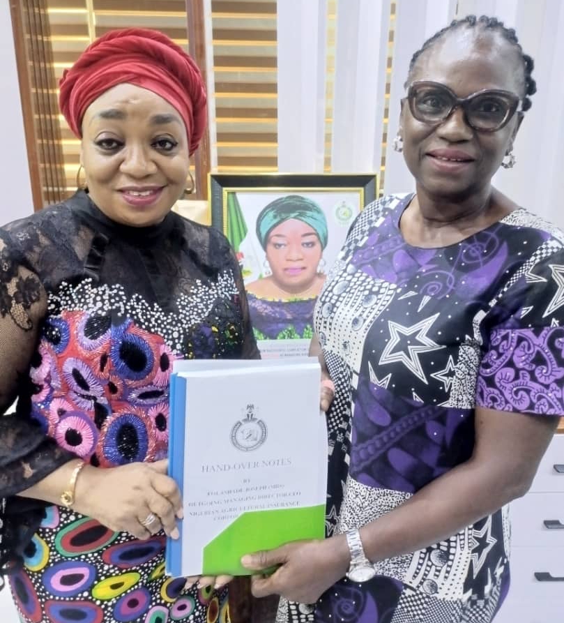 NAIC names Florence Onwuanuokwu Acting Managing Director, as Folashade Joseph retires