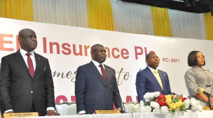 NEM Insurance revenue soars to N97.9bn, pays N5.02bn dividend