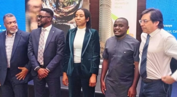 PenCom eyes alternative assets in move to balance pension fund investments