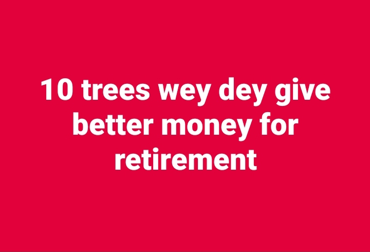 10 trees wey dey give better money for retirement