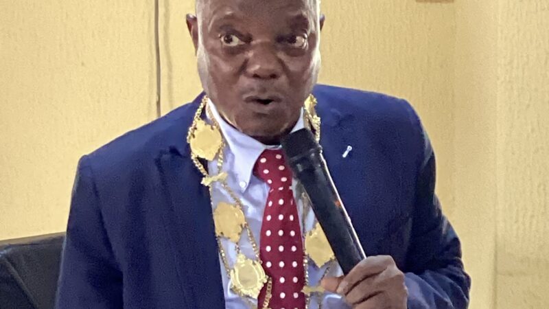 ILAN seeks NAICOM help on payment of professional fees, ISS levy