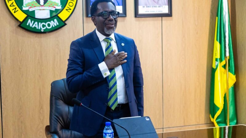 NAICOM vows to hold re/insurers hands through recapitalisation