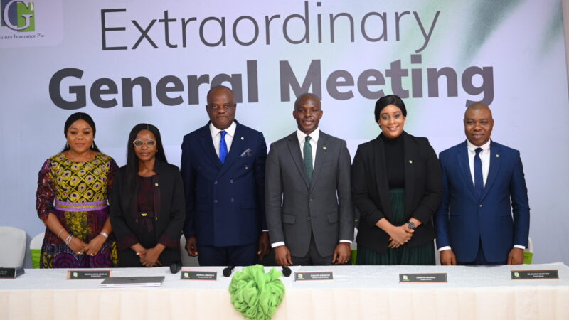 Shareholders give nod for Guinea Insurance to raise ₦15bn equity through rights issue, private placement