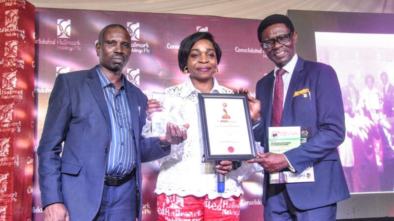 Consolidated Hallmark Holdings wins Highest Return on Equity Award