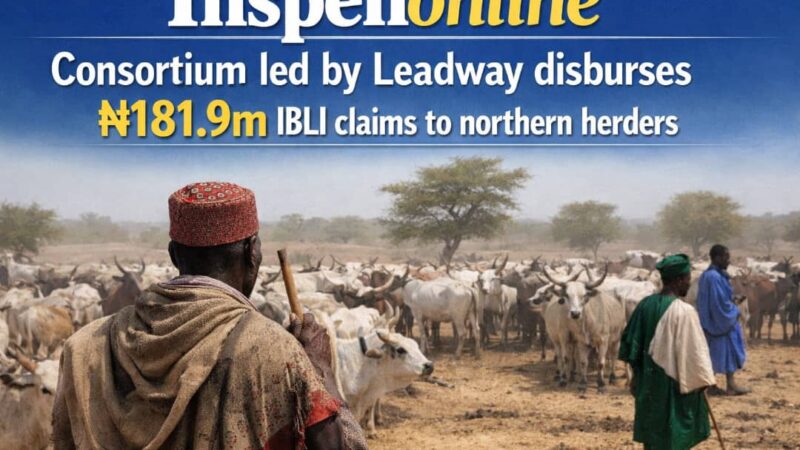Consortium led by Leadway disburses ₦181.9m IBLI claims to northern herders